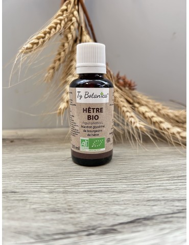 Macérat de Hêtre bio