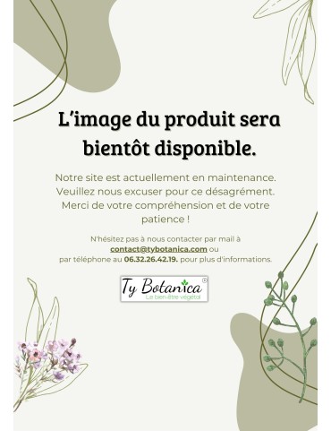 Pack Reminéralisant Bio