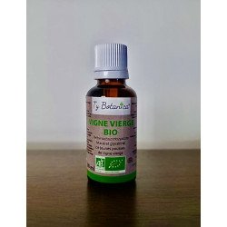 Macérât de Vigne vierge bio