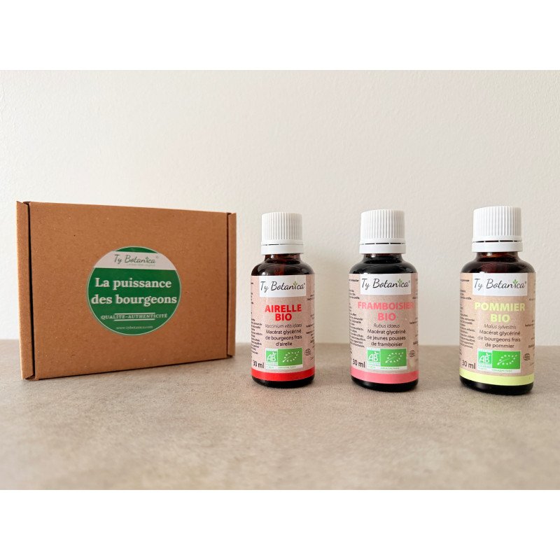 Transition Féminine