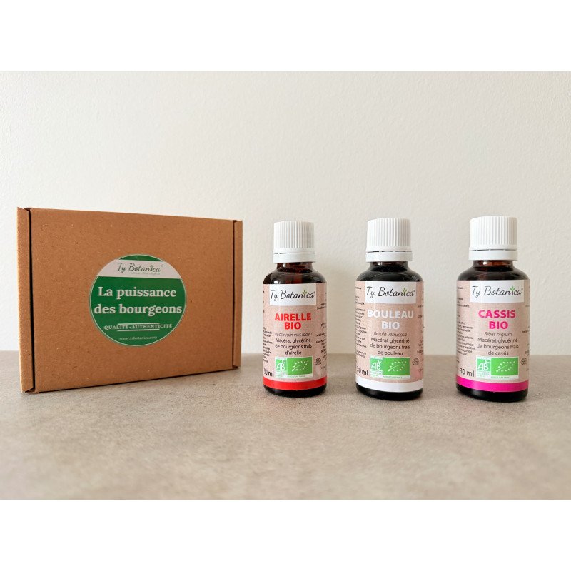 Articulation et Souplesse PHASE 1