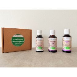 Harmonie de la Silhouette