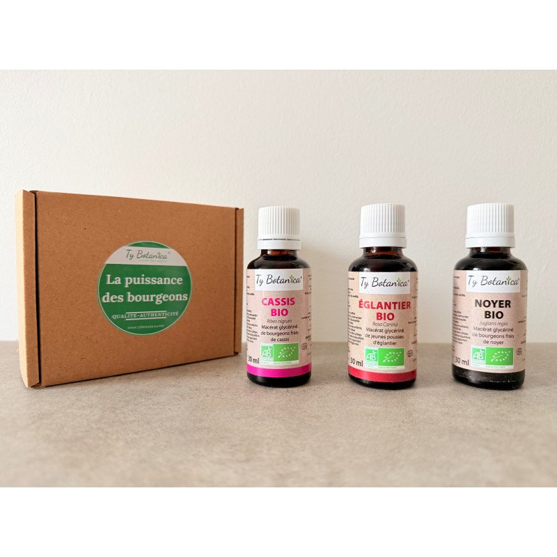 Energie et immunité