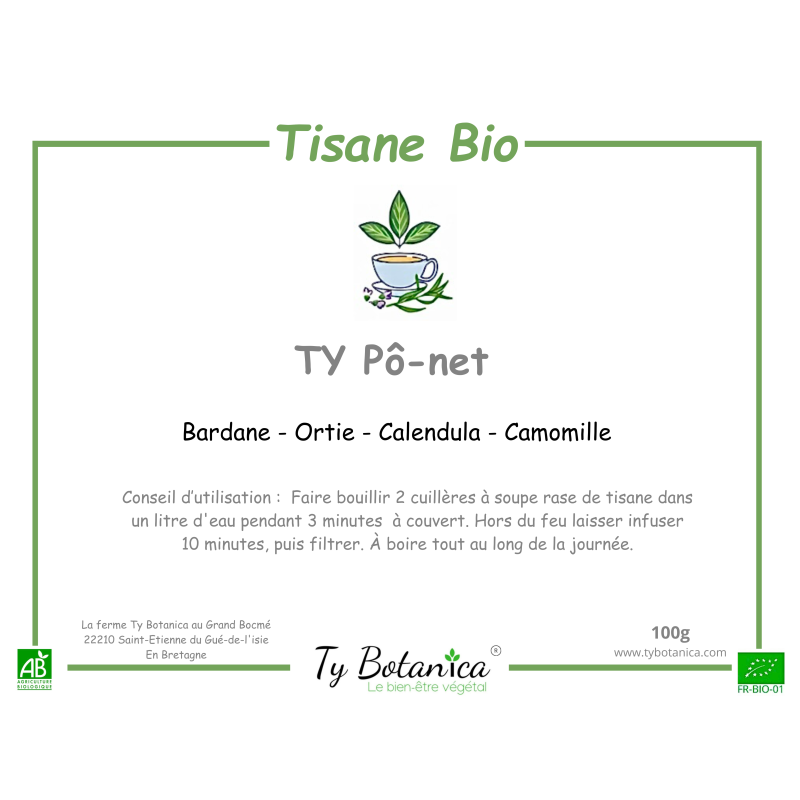 TY Pô-net