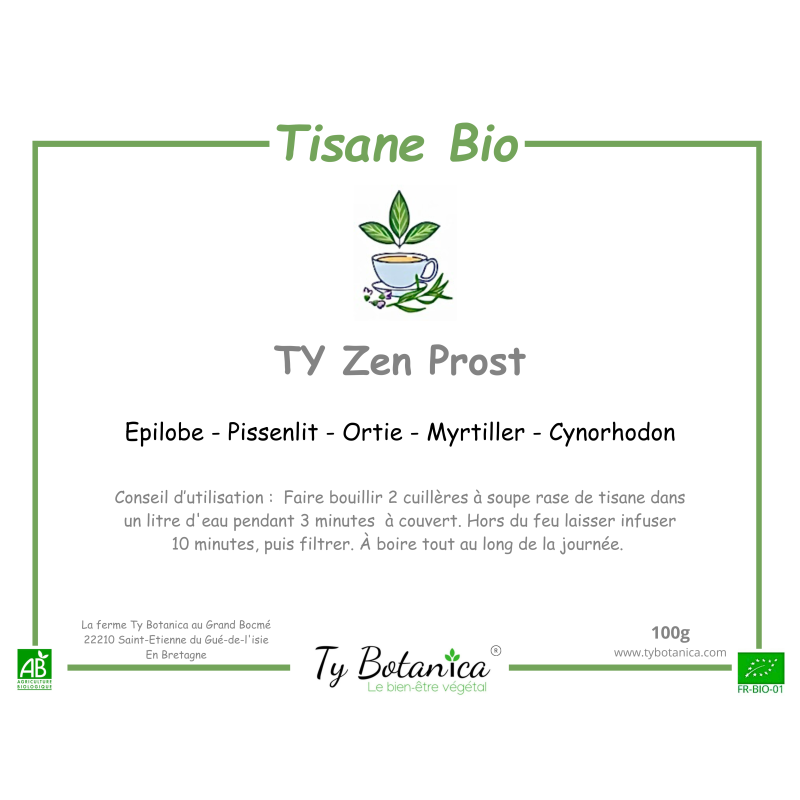 TY Zen Prost