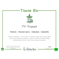 TY Transit