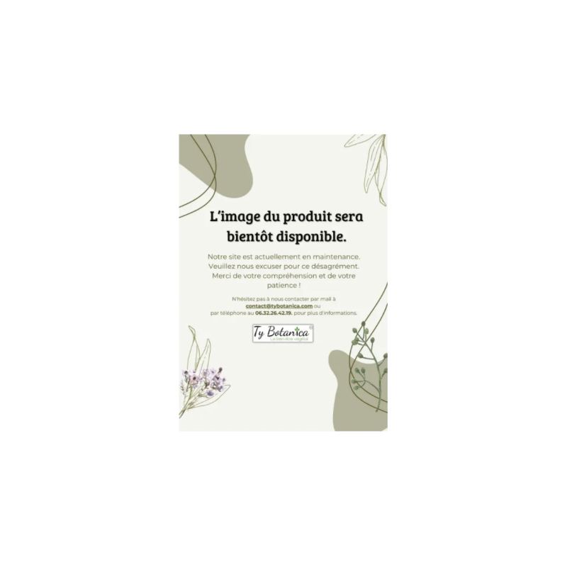 Verveine Citronnée Bio
