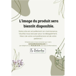 Menthe poivrée Bio