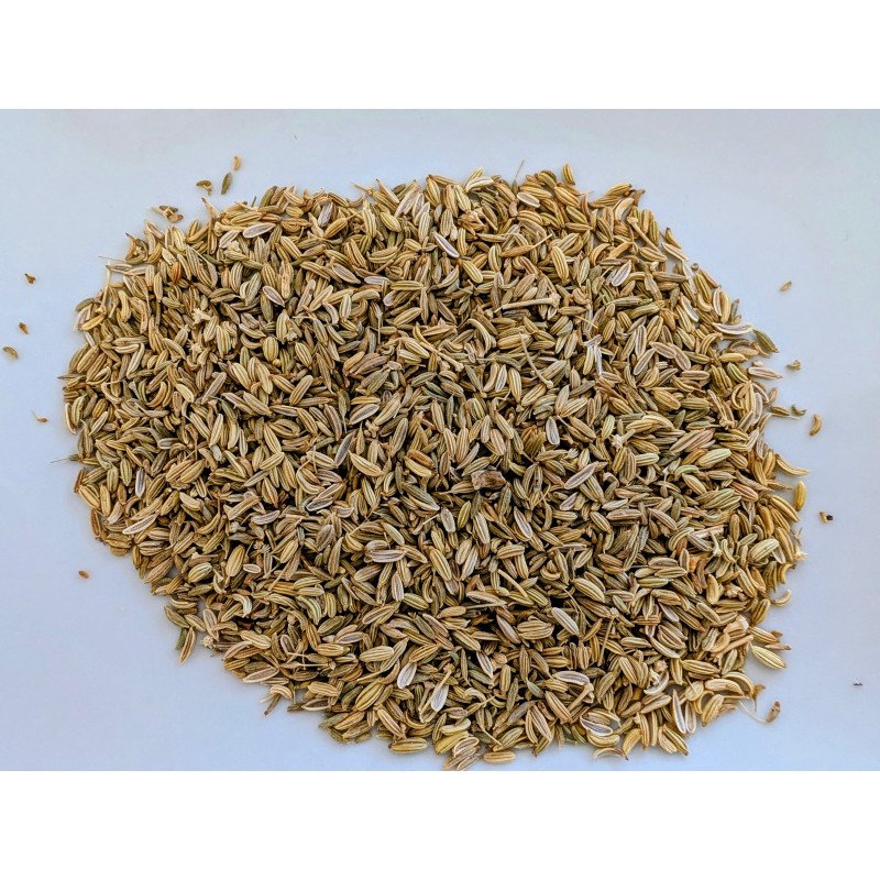 Fenouil Bio