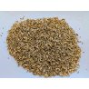 Fenouil Bio