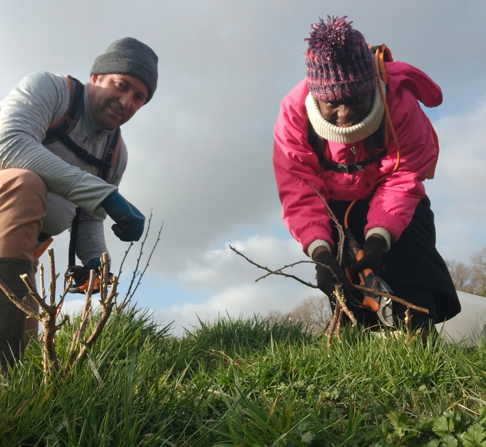 Observation des bourgeons d'une haie, au plus près de la plante
