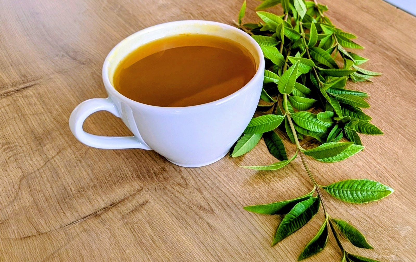 Plantes séchées en vrac, prêtes à être infusées