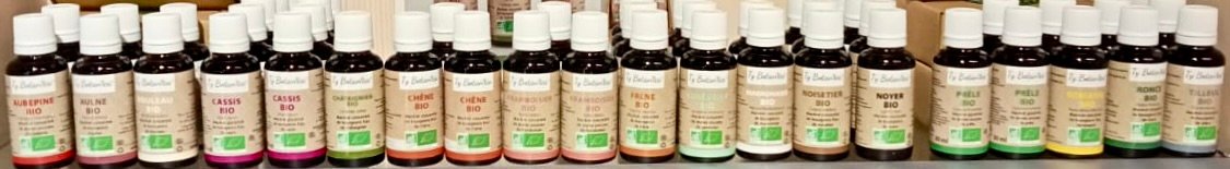 Macérats de bourgeons